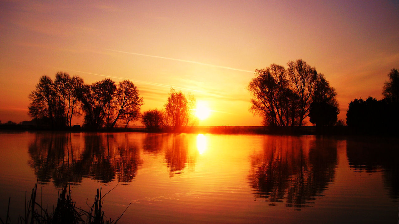 Willow lake dawn